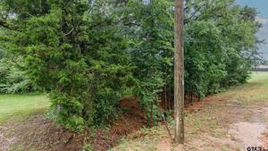 Lot 46 Private Road 7011