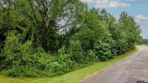 Lot 43 A County Rd 3009