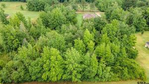 Lot 44 A County Rd 3009
