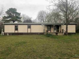 11202 County Road 4117