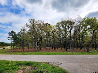 3165 Shadow Pine Dr. (Lot 76 & L9)