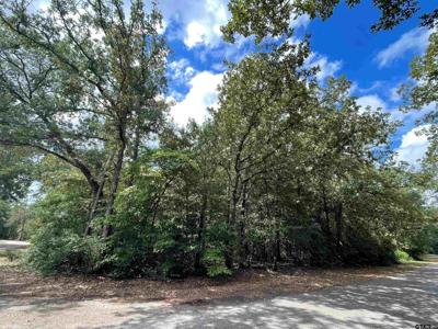 TBD Starleaf Lane
