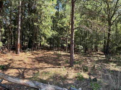 Lot 195 Green Meadow Trail