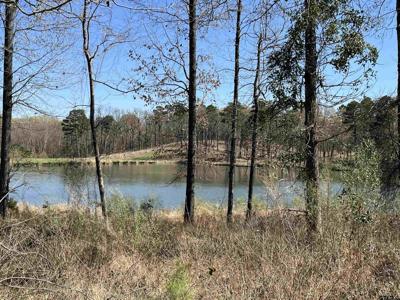 lot 50 PR 52416