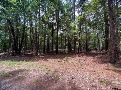 Lots 1-2, 13 Weeping Willow Dr