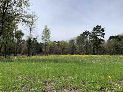 3155 Shadow Pine Lot 77 & L8