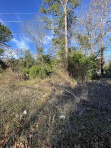 23158 Arrowhead Dr