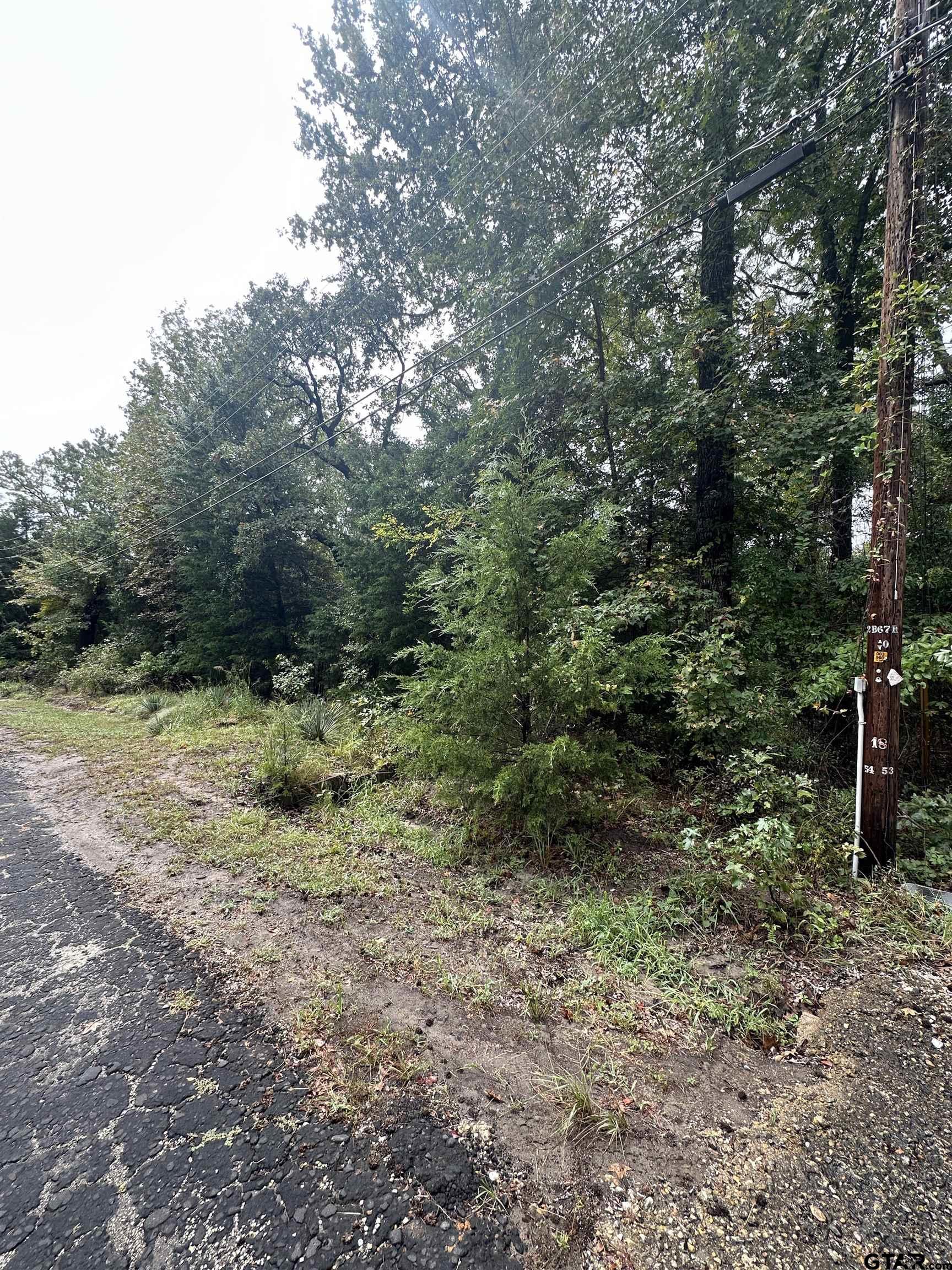 Image 1: Image 1