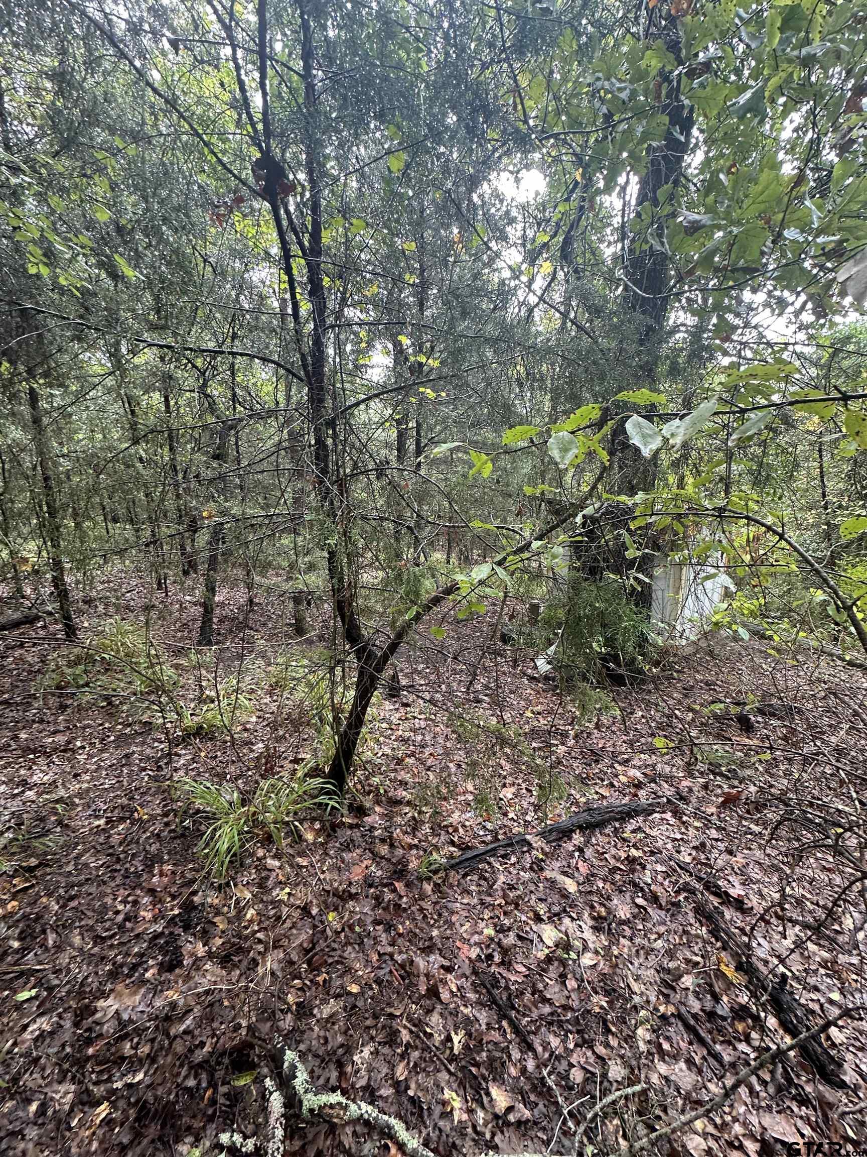 Image 2: Image 2