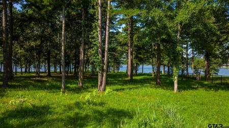 Lot 1 Eagle's Nest Circle