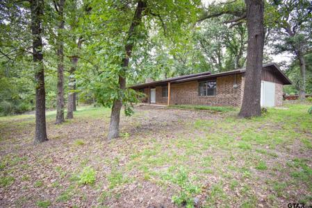 408 Tarrapin