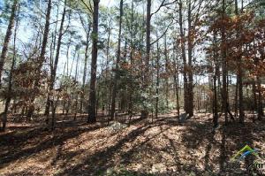 Sec 9 Lot 278 Shasta Path