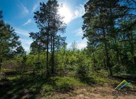 11727 Thousand Pines Circle