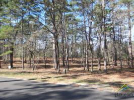 Lots 8 & 9 Greenbriar Trail