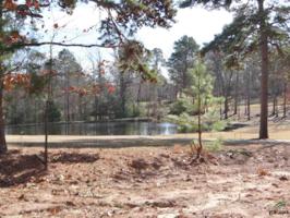 Lot 527R Golfing Green Cove