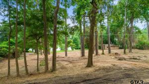 13933 W Peninsula Rd - LOT 55