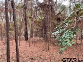 Lot 85 Bluebird Circle