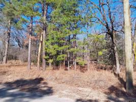 Lot 220 Section 2 Holly Lake Ranch