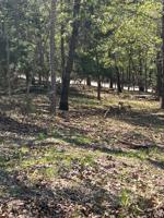 TBD Lot 88 Primrose Path
