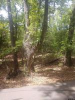 Lot 7 Cypress Creek Drive