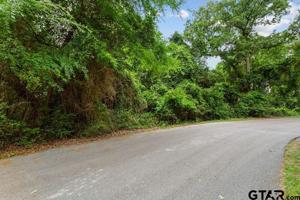 0 LOT 35 Lookout Lake Cir