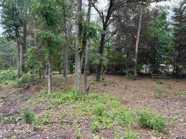 21074 Forest Grove Dr.