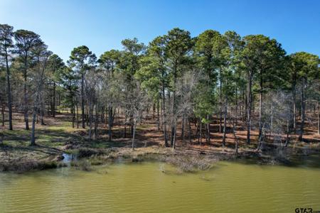 Lot 2 Caddo Point