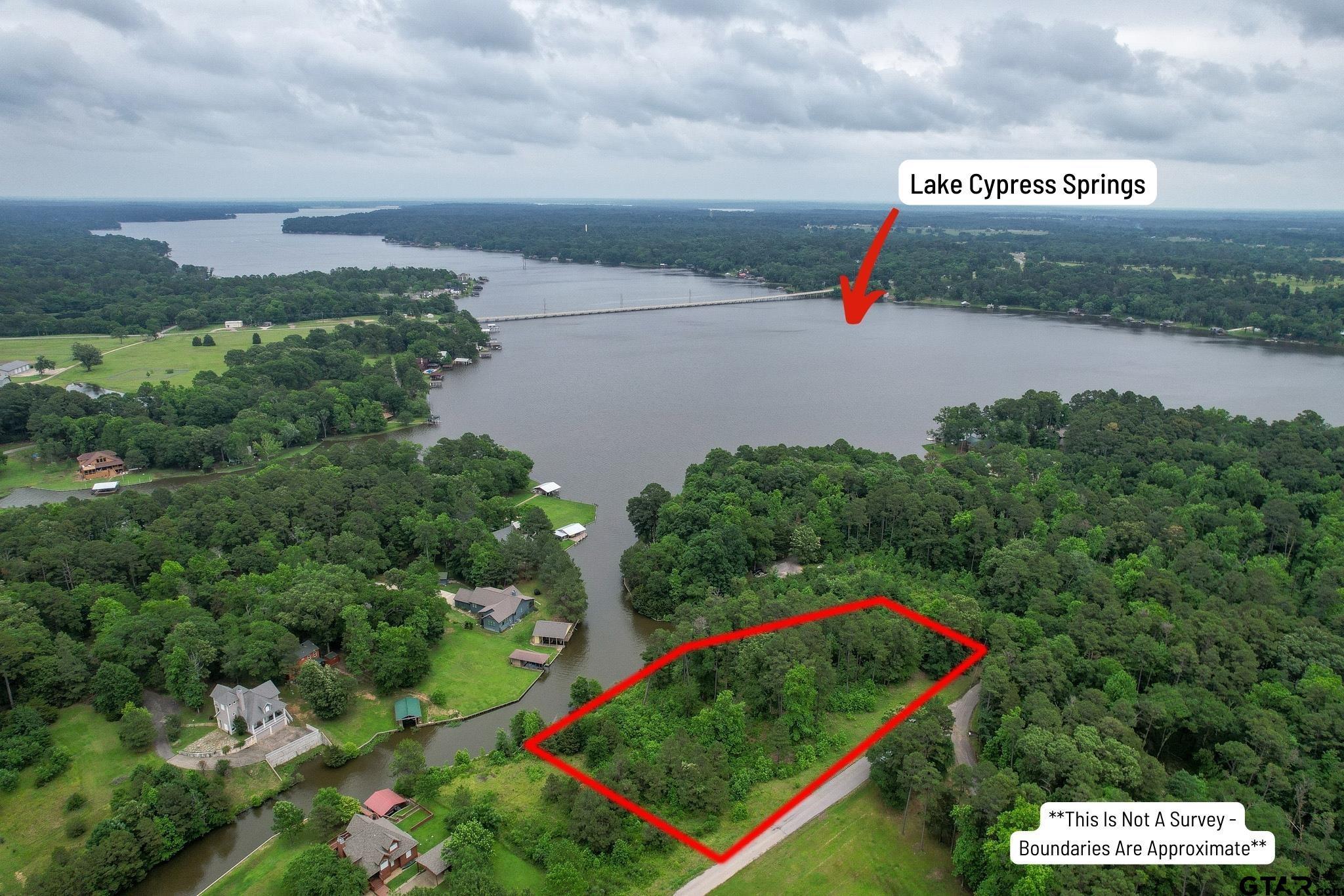 Image 1: Image 1