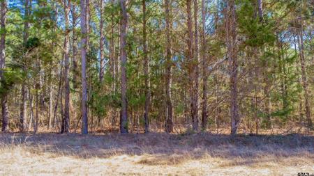 210 Concho Drive