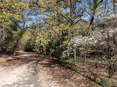 TBD Winding Knoll