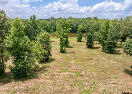 785 Stone Chimney Rd. (Lot 3 CR 3608)