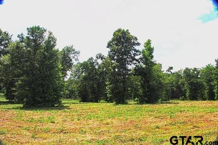 865 Stone Chimney Rd. (Lot 7 CR 3608)