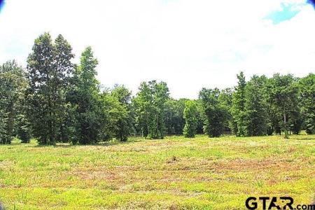 885 Stone Chimney Rd. (Lot 8 CR 3608)