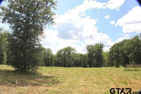 915 Stone Chimney Rd. (Lot 9 CR 3608)