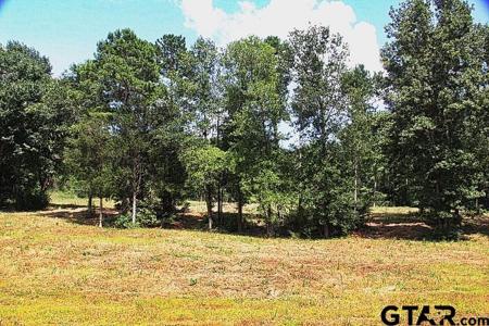 965 Stone Chimney Rd. (Lot 11 CR 3608)