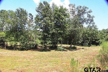 985 Stone Chimney Rd. (Lot 12 CR 3608)