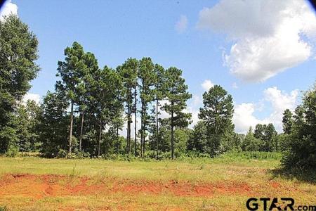 950 Stone Chimney Rd. (Lot 17 CR 3608)