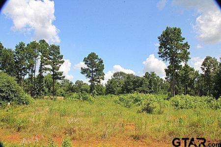 920 Stone Chimney Rd. (Lot 19 CR 3608)