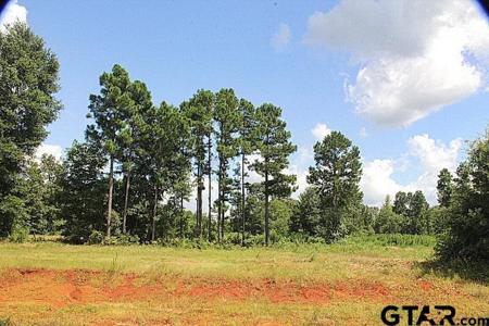 900 Stone Chimney Rd. (Lot 20 CR 3608)
