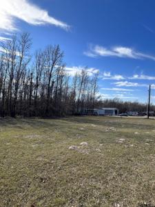 572 Whitefoot