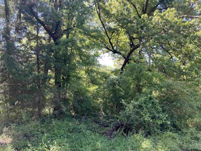 22904 Autumn Woods Trl