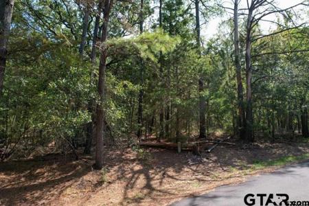 Lot 48 Angelina St.