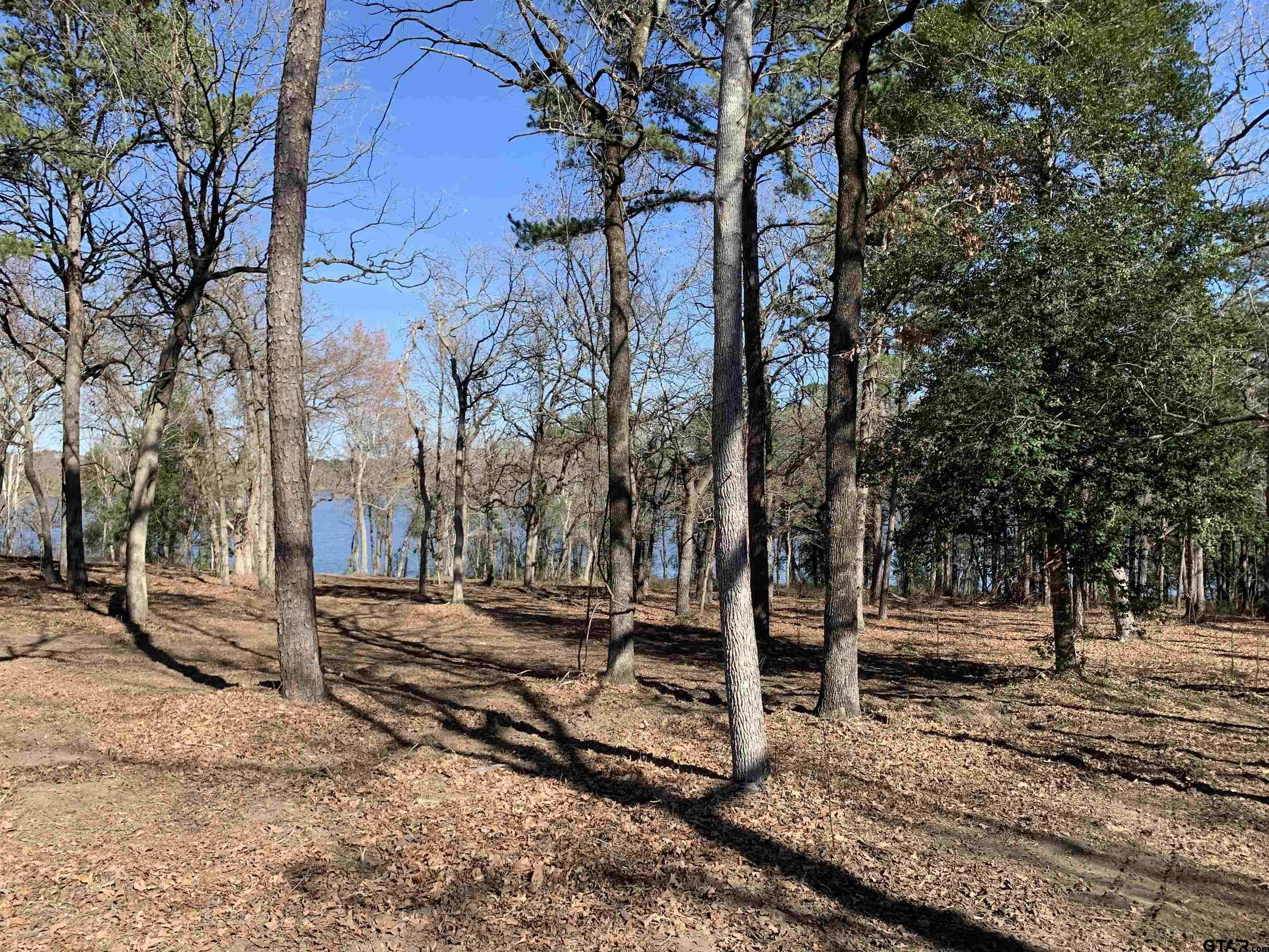 Image 3: From mid lot toward water
