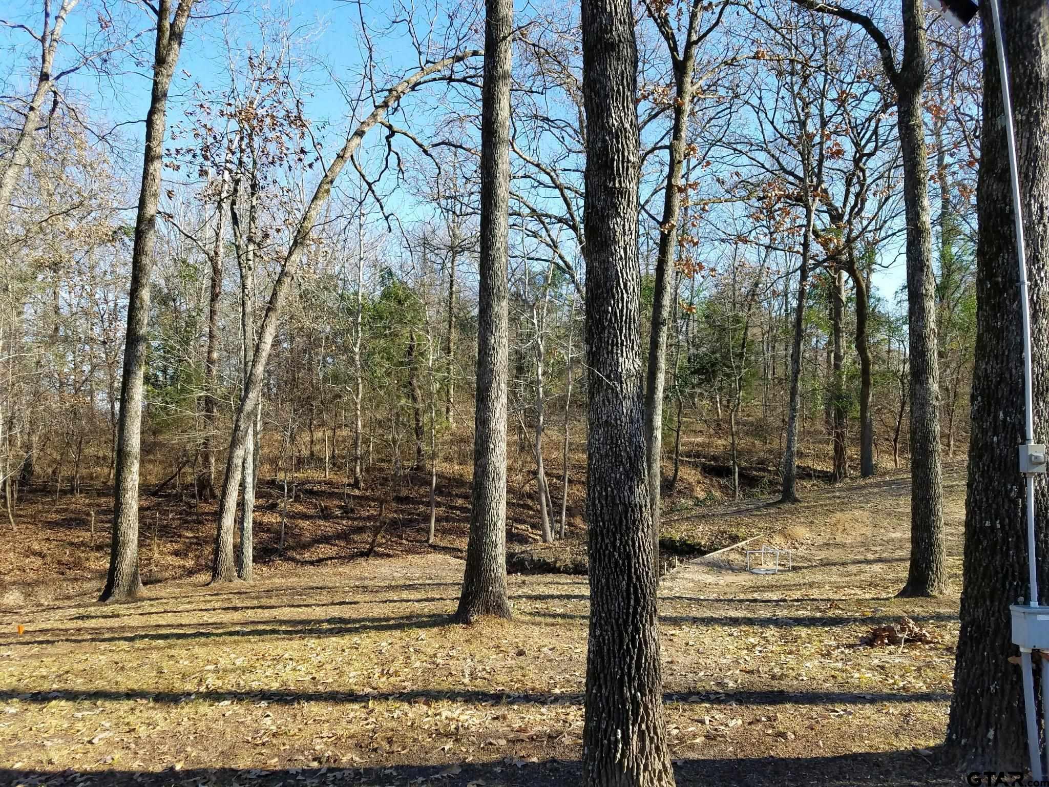 Image 4: Back of Lot