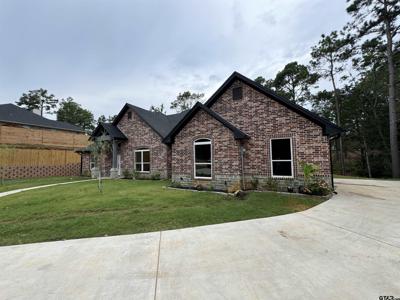 15969 CRAZYHORSE DR