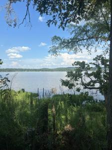 1211 Farm to Market 3288