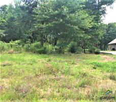 84 S Ryder Cup Trail