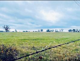 000 State Hwy. 155