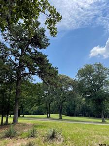 TBD LOT 526R Golfing Green Cove