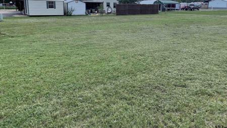 TBD-Lot 229 Wichita Dr